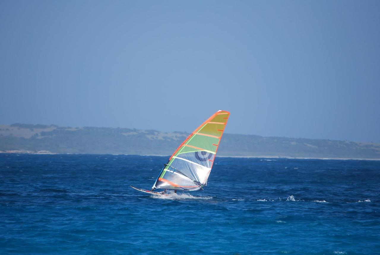 Ocean Sxm Studio Cul de Sac Dış mekan fotoğraf