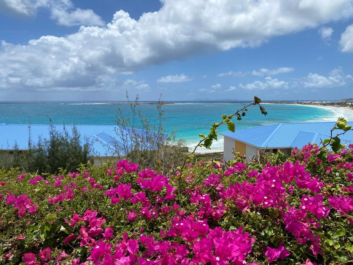 Ocean Sxm Studio Cul de Sac Dış mekan fotoğraf