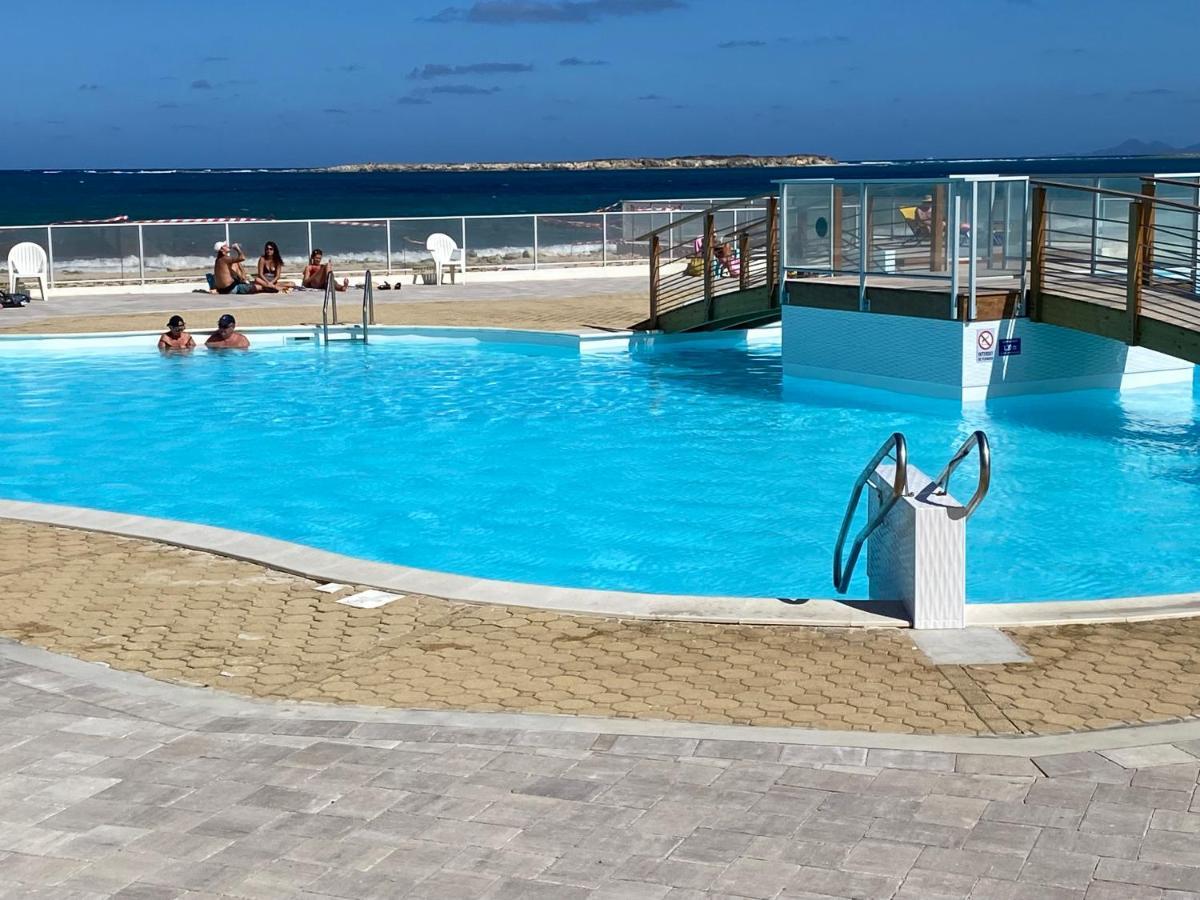 Ocean Sxm Studio Cul de Sac Dış mekan fotoğraf